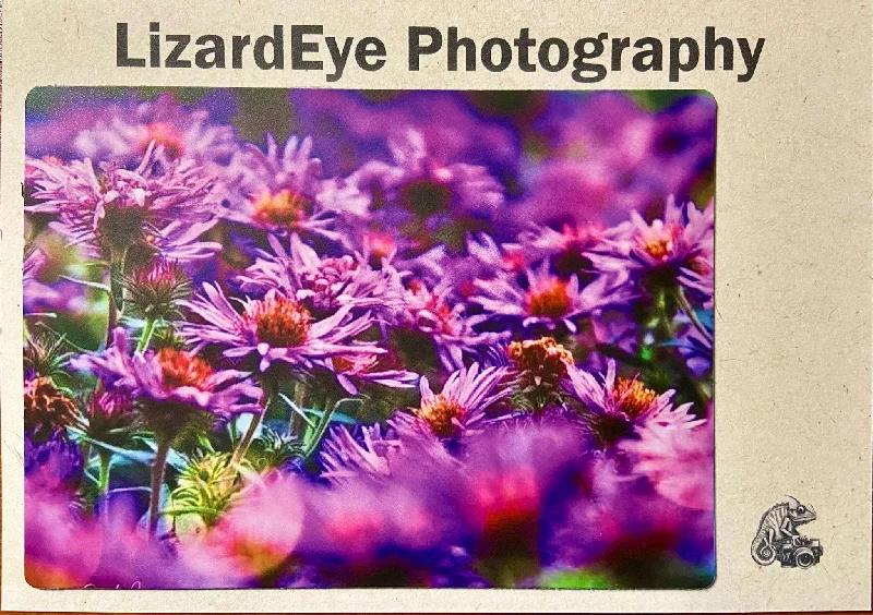 Field of Purple Photography Print