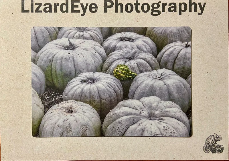 White Pumpkins Photography Print