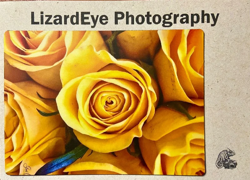 Yellow Roses Photography Print